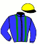 casaque portée par Le Brun F. jockey du cheval de course LOVISSIME, information pmu ZETURF