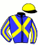 casaque portée par Saussaye V. jockey du cheval de course JOUVENCE, information pmu ZETURF