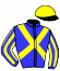casaque portée par Saussaye V. jockey du cheval de course JOUVENCE, information pmu ZETURF casaque portée par Saussaye V. jockey du cheval de course JOUVENCE, information pmu ZETURF