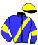 casaque portée par Leroulley J. jockey du cheval de course KALINE DAME, information pmu ZETURF