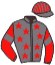 casaque portée par Corbineau Ch. jockey du cheval de course KLASSIKA DIDALO, information pmu ZETURF casaque portée par Corbineau Ch. jockey du cheval de course KLASSIKA DIDALO, information pmu ZETURF