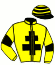 casaque portée par Salles G. jockey du cheval de course HALLIX, information pmu ZETURF casaque portée par Salles G. jockey du cheval de course HALLIX, information pmu ZETURF