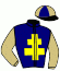 casaque portée par Chapdelaine F. jockey du cheval de course HORS CADRE, information pmu ZETURF casaque portée par Chapdelaine F. jockey du cheval de course HORS CADRE, information pmu ZETURF