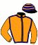 casaque portée par Veron F. jockey du cheval de course TRUCO (FR), information pmu ZETURF