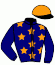 casaque portée par Lefebvre F. jockey du cheval de course SCRIBNER CREEK (IE), information pmu ZETURF