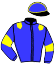 casaque portée par Tusseau V. jockey du cheval de course GUELIA FAVARDY (FR), information pmu ZETURF