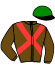 casaque portée par Lecanu F. jockey du cheval de course GAIA TREMBLADAISE (FR), information pmu ZETURF