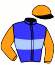 casaque portée par Blanchouin T. jockey du cheval de course GRAND LEON, information pmu ZETURF