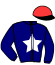 casaque portée par Roussel Ale. jockey du cheval de course IANIS JEM (FR), information pmu ZETURF