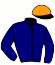 casaque portée par Besson F. jockey du cheval de course ICTUS DU PERCHE, information pmu ZETURF