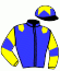 casaque portée par Boche D. jockey du cheval de course RUE JONAS, information pmu ZETURF