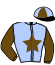 casaque portée par Beaucamp Mme A. jockey du cheval de course HERCULE DES PRES, information pmu ZETURF