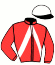 casaque portée par Chavatte G. jockey du cheval de course L'ARTISTE DE JANZE, information pmu ZETURF casaque portée par Chavatte G. jockey du cheval de course L'ARTISTE DE JANZE, information pmu ZETURF