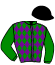 casaque portée par Nivard F. jockey du cheval de course JASMIN DU ROCHER, information pmu ZETURF