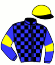 casaque portée par Frecelle Cl. jockey du cheval de course HABANO DE GENNES, information pmu ZETURF casaque portée par Frecelle Cl. jockey du cheval de course HABANO DE GENNES, information pmu ZETURF