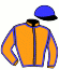 casaque portée par Fontaine Mlle E. jockey du cheval de course ZARICA (FR), information pmu ZETURF
