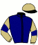 casaque portée par Rame M. jockey du cheval de course FAVA HAS (FR), information pmu ZETURF