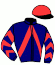 casaque portée par Desoutter Mlle N. jockey du cheval de course TARSAMIS (FR), information pmu ZETURF