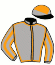 casaque portée par Besnier H. jockey du cheval de course LUISA CASATI (IE), information pmu ZETURF