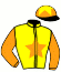 casaque portée par Le Gland Mlle C. jockey du cheval de course JAZZMAN FLEURY (FR), information pmu ZETURF