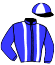 casaque portée par De Giles F. jockey du cheval de course INGENIOUS MACHINE, information pmu ZETURF