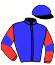 casaque portée par Androuin M. jockey du cheval de course VISITE D ETAT (FR), information pmu ZETURF