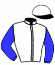 casaque portée par Farcinade M. jockey du cheval de course TEL AVIV, information pmu ZETURF