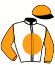 casaque portée par Madamet A. jockey du cheval de course TEMPS FANTASTIQUE (FR), information pmu ZETURF