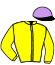 casaque portée par Trullier T. jockey du cheval de course RONDO (US), information pmu ZETURF