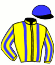casaque portée par Besnier H. jockey du cheval de course PRINCE KERALI, information pmu ZETURF