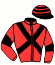 casaque portée par Roussel Ale. jockey du cheval de course AINTREEGIRL, information pmu ZETURF