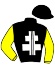 casaque portée par Mangione R. jockey du cheval de course GOLD PALACE, information pmu ZETURF