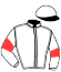 casaque portée par Mendizabal I. jockey du cheval de course CENIZA, information pmu ZETURF