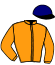 casaque portée par Reveley J. jockey du cheval de course LILLA, information pmu ZETURF