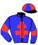 casaque portée par Gaignard Q. jockey du cheval de course MIRACLE DE HOUELLE, information pmu ZETURF