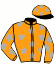 casaque portée par Bertrand G. jockey du cheval de course HIGH RIVER, information pmu ZETURF