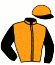 casaque portée par Journiac H. jockey du cheval de course PRINCE PEDRO, information pmu ZETURF