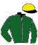 casaque portée par Guyon M. jockey du cheval de course EMERALD LAKE, information pmu ZETURF