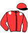 casaque portée par Madamet A. jockey du cheval de course POWERKISS D'OROUX, information pmu ZETURF