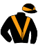 casaque portée par Andrieux T. jockey du cheval de course MISS TREZY, information pmu ZETURF
