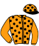 casaque portée par Pertrizot T. jockey du cheval de course BLAS, information pmu ZETURF casaque portée par Pertrizot T. jockey du cheval de course BLAS, information pmu ZETURF
