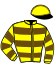 casaque portée par Andrieu F. jockey du cheval de course KINDER RHISA, information pmu ZETURF