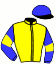 casaque portée par Ecalard S. jockey du cheval de course KEO DE LA PRADE, information pmu ZETURF