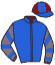 casaque portée par Vilchien A. jockey du cheval de course BIRDSONG, information pmu ZETURF casaque portée par Vilchien A. jockey du cheval de course BIRDSONG, information pmu ZETURF