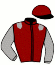 casaque portée par Remoue Pie. jockey du cheval de course ALERIO, information pmu ZETURF