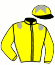 casaque portée par Crastus A. jockey du cheval de course NOIR BLEU, information pmu ZETURF casaque portée par Crastus A. jockey du cheval de course NOIR BLEU, information pmu ZETURF