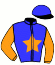 casaque portée par Lecoeuvre C. jockey du cheval de course TATOO, information pmu ZETURF casaque portée par Lecoeuvre C. jockey du cheval de course TATOO, information pmu ZETURF