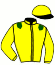 casaque portée par Planque S. jockey du cheval de course NICE RULER, information pmu ZETURF casaque portée par Planque S. jockey du cheval de course NICE RULER, information pmu ZETURF