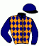 casaque portée par Baudet N. jockey du cheval de course TREIZE CHOPE, information pmu ZETURF