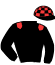 casaque portée par Chailloleau M. jockey du cheval de course MINA TANENBAUM, information pmu ZETURF casaque portée par Chailloleau M. jockey du cheval de course MINA TANENBAUM, information pmu ZETURF